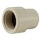 Apollo Apollo Schedule 40 3/4 in. Slip in to X 3/4 in. D FNPT CPVC Female Adapter 1 pk CPVCFA34W - alternate 3